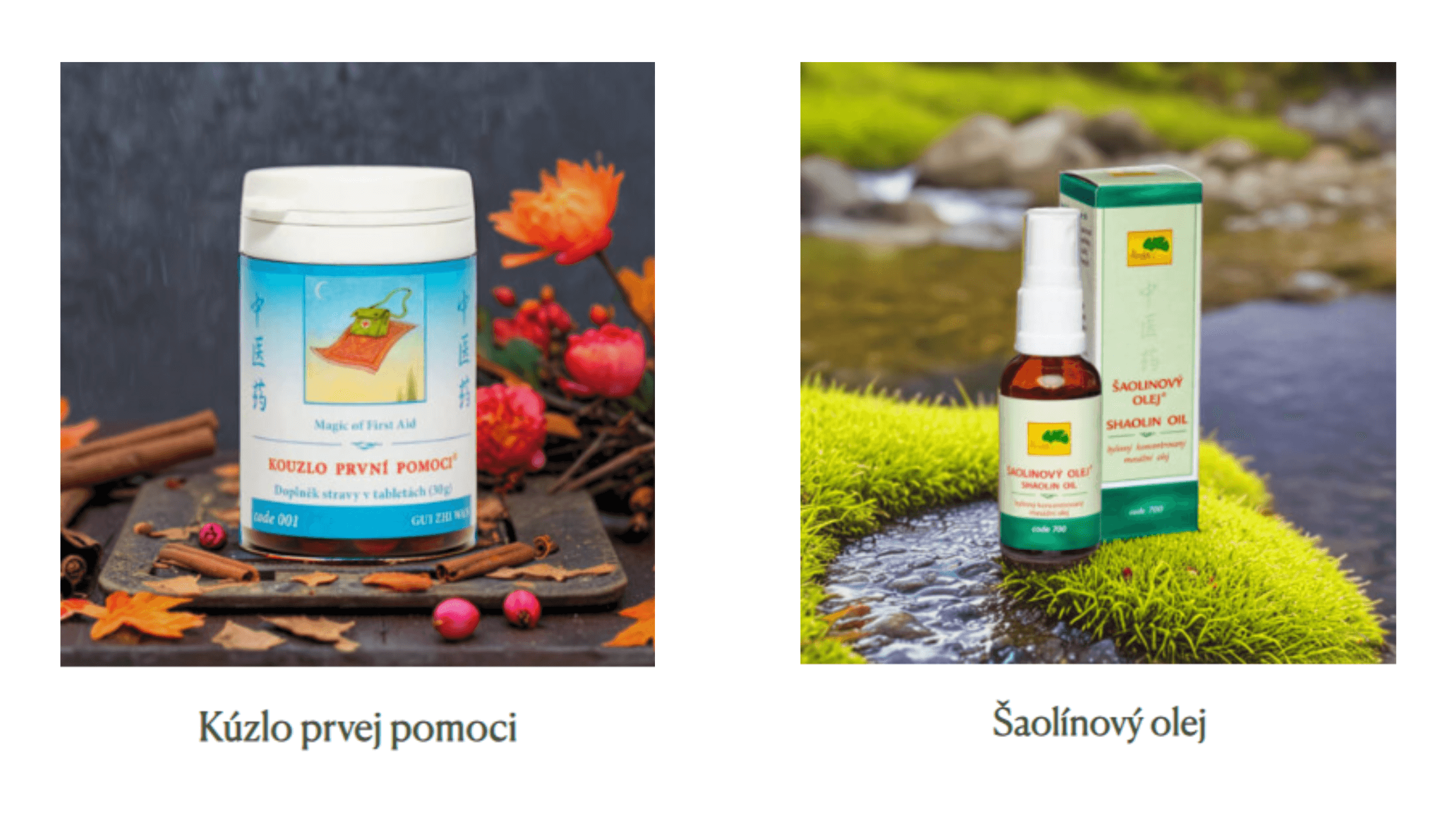 zima-bez-chorob-objavte-silu-cinskej-mediciny-pri-chripke-a-prechladnuti-001-kuzlo-prvej-pomoci-700-saolinovy-olej-tcm-herbs
