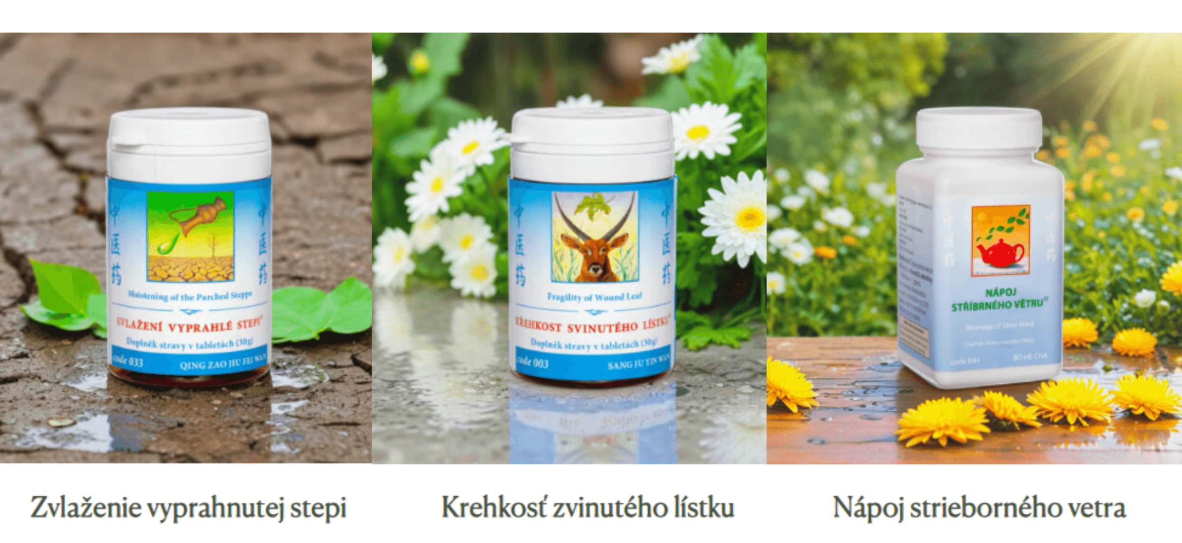 zima-bez-chorob-objavte-silu-cinskej-mediciny-pri-chripke-a-prechladnuti-844-napoj-strieborneho-vetra-003-krehkost-zvinuteho-listku-033-zvlazenie-vyprahnutej-stepi-tcm-herbs