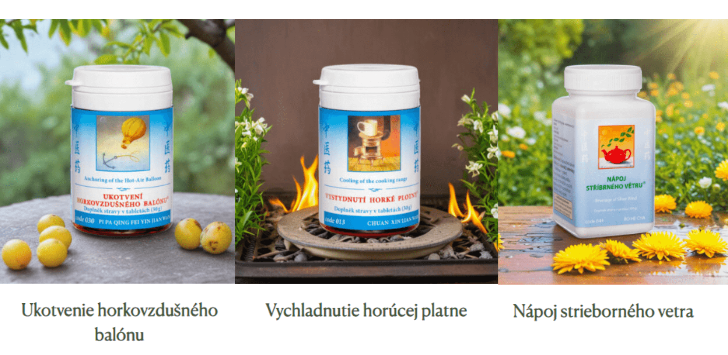 zima-bez-chorob-objavte-silu-cinskej-mediciny-pri-chripke-a-prechladnuti-844-napoj-strieborneho-vetra-030-ukotvenie-horkovzdusneho-balonu-013-vychladnutie-horucej-platne-tcm-herbs