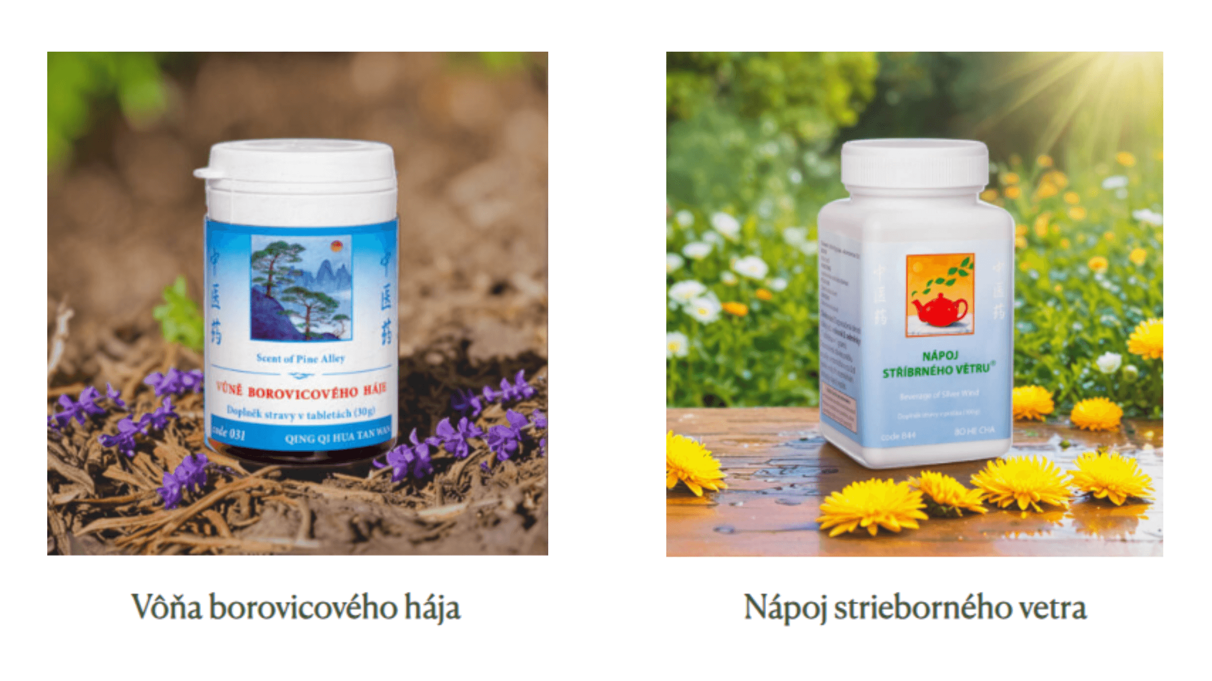 zima-bez-chorob-objavte-silu-cinskej-mediciny-pri-chripke-a-prechladnuti-844-napoj-strieborneho-vetra-031-vona-borovicoveho-haja-tcm-herbs