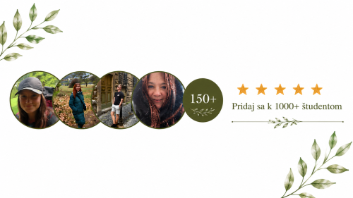 recenze